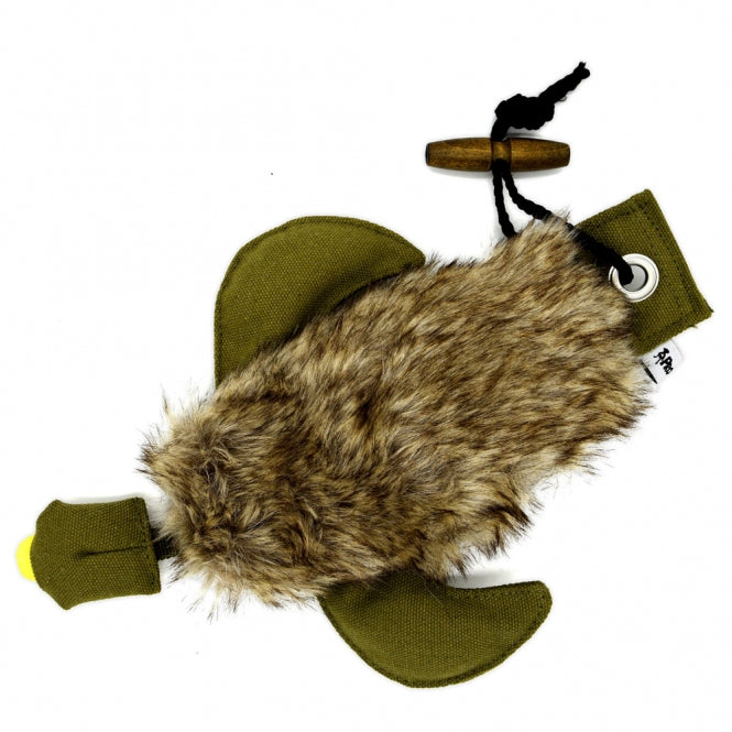 ENTE Dummy