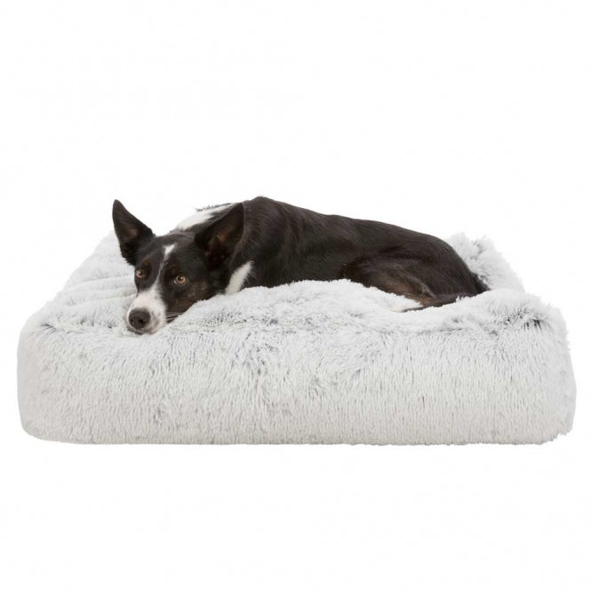 PLÜSCH Hundebett